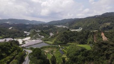 Cameron Highlands, Pahang Malezya 30 Mayıs 2022: Malezya 'nın Cameron Highlands Alanı içindeki Brinchang Bölgesinin Genel Manzarası
