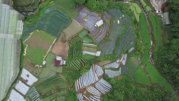 Cameron Highlands Pahang Malásia Maio 2022 Vista Geral Paisagem Distrito — Vídeo de Stock