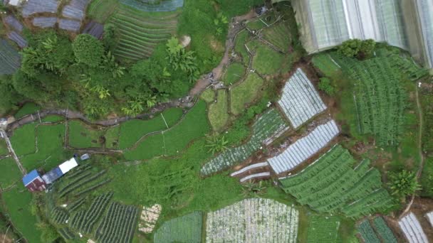 Cameron Highlands Pahang Malaysia 2022 General Landscape View Brinchang District — 비디오