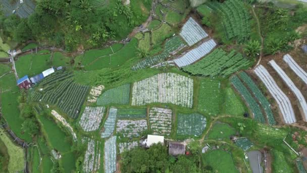 Cameron Highlands Pahang Malaisie Mai 2022 Vue Générale Paysage District — Video