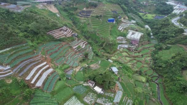 Cameron Highlands Pahang Malaysia Mai 2022 Allgemeiner Landschaftsblick Auf Den — Stockvideo