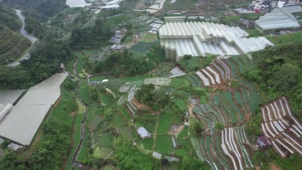 Cameron Highlands Pahang Malezja Maja 2022 Ogólny Widok Krajobraz Dystryktu — Wideo stockowe