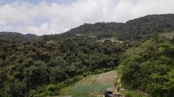 Cameron Highlands Pahang Malaysia Maj 2022 Allmänt Landskap Utsikt Över — Stockvideo