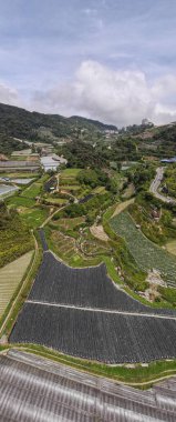 Cameron Highlands, Pahang Malezya 30 Mayıs 2022: Malezya 'nın Cameron Highlands Alanı içindeki Brinchang Bölgesinin Genel Manzarası