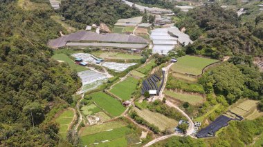 Cameron Highlands, Pahang Malezya 30 Mayıs 2022: Malezya 'nın Cameron Highlands Alanı içindeki Brinchang Bölgesinin Genel Manzarası