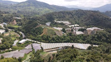 Cameron Highlands, Pahang Malezya 30 Mayıs 2022: Malezya 'nın Cameron Highlands Alanı içindeki Brinchang Bölgesinin Genel Manzarası
