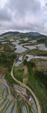Cameron Highlands, Pahang Malezya 30 Mayıs 2022: Malezya 'nın Cameron Highlands Alanı içindeki Brinchang Bölgesinin Genel Manzarası