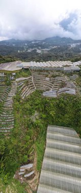 Cameron Highlands, Pahang Malezya 30 Mayıs 2022: Malezya 'nın Cameron Highlands Alanı içindeki Brinchang Bölgesinin Genel Manzarası