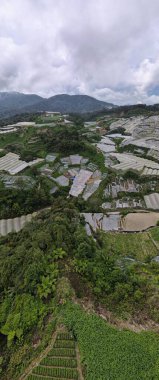 Cameron Highlands, Pahang Malezya 30 Mayıs 2022: Malezya 'nın Cameron Highlands Alanı içindeki Brinchang Bölgesinin Genel Manzarası