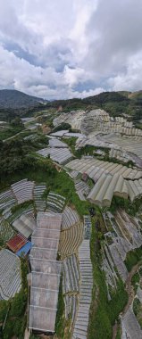 Cameron Highlands, Pahang Malezya 30 Mayıs 2022: Malezya 'nın Cameron Highlands Alanı içindeki Brinchang Bölgesinin Genel Manzarası