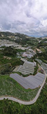 Cameron Highlands, Pahang Malezya 30 Mayıs 2022: Malezya 'nın Cameron Highlands Alanı içindeki Brinchang Bölgesinin Genel Manzarası