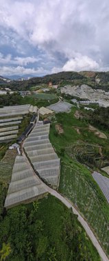 Cameron Highlands, Pahang Malezya 30 Mayıs 2022: Malezya 'nın Cameron Highlands Alanı içindeki Brinchang Bölgesinin Genel Manzarası