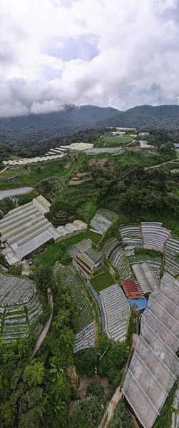 Cameron Highlands, Pahang Malezya 30 Mayıs 2022: Malezya 'nın Cameron Highlands Alanı içindeki Brinchang Bölgesinin Genel Manzarası