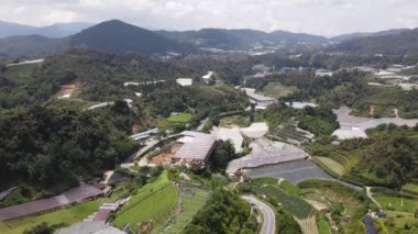 Cameron Highlands, Pahang Malezya 30 Mayıs 2022: Malezya 'nın Cameron Highlands Alanı içindeki Brinchang Bölgesinin Genel Manzarası