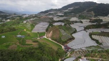Cameron Highlands, Pahang Malezya 30 Mayıs 2022: Malezya 'nın Cameron Highlands Alanı içindeki Brinchang Bölgesinin Genel Manzarası