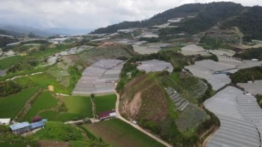 Cameron Highlands, Pahang Malezya 30 Mayıs 2022: Malezya 'nın Cameron Highlands Alanı içindeki Brinchang Bölgesinin Genel Manzarası