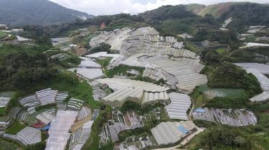 Cameron Highlands, Pahang Malezya 30 Mayıs 2022: Malezya 'nın Cameron Highlands Alanı içindeki Brinchang Bölgesinin Genel Manzarası