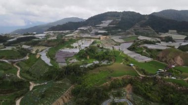 Cameron Highlands, Pahang Malezya 30 Mayıs 2022: Malezya 'nın Cameron Highlands Alanı içindeki Brinchang Bölgesinin Genel Manzarası