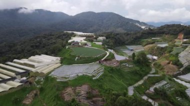 Cameron Highlands, Pahang Malezya 30 Mayıs 2022: Malezya 'nın Cameron Highlands Alanı içindeki Brinchang Bölgesinin Genel Manzarası