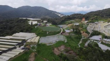 Cameron Highlands, Pahang Malezya 30 Mayıs 2022: Malezya 'nın Cameron Highlands Alanı içindeki Brinchang Bölgesinin Genel Manzarası