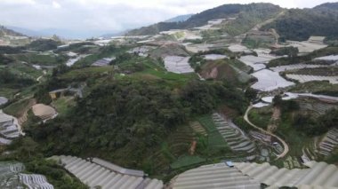 Cameron Highlands, Pahang Malezya 30 Mayıs 2022: Malezya 'nın Cameron Highlands Alanı içindeki Brinchang Bölgesinin Genel Manzarası