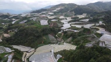 Cameron Highlands, Pahang Malezya 30 Mayıs 2022: Malezya 'nın Cameron Highlands Alanı içindeki Brinchang Bölgesinin Genel Manzarası
