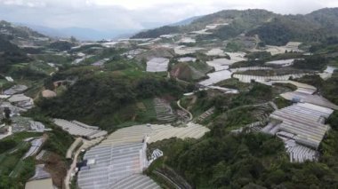 Cameron Highlands, Pahang Malezya 30 Mayıs 2022: Malezya 'nın Cameron Highlands Alanı içindeki Brinchang Bölgesinin Genel Manzarası