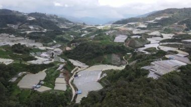 Cameron Highlands, Pahang Malezya 30 Mayıs 2022: Malezya 'nın Cameron Highlands Alanı içindeki Brinchang Bölgesinin Genel Manzarası