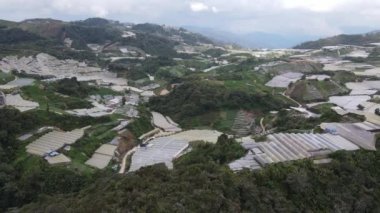 Cameron Highlands, Pahang Malezya 30 Mayıs 2022: Malezya 'nın Cameron Highlands Alanı içindeki Brinchang Bölgesinin Genel Manzarası