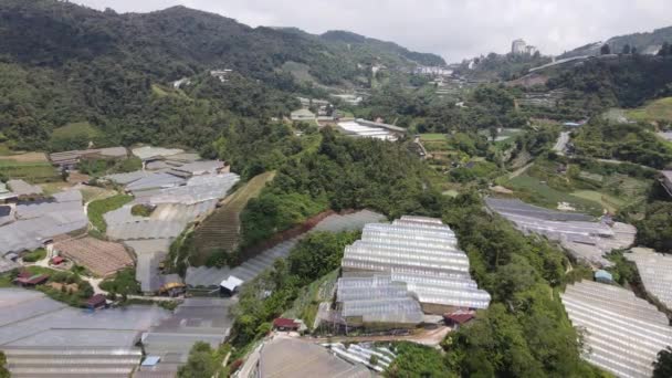 Cameron Highlands Pahang Malezja Maja 2022 Ogólny Widok Krajobraz Dystryktu — Wideo stockowe