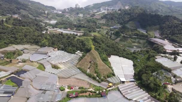 Cameron Highlands Pahang Malaysia 2022 General Landscape View Brinchang District — 비디오