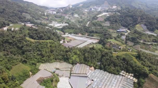 Cameron Highlands Pahang Malásia Maio 2022 Vista Geral Paisagem Distrito — Vídeo de Stock