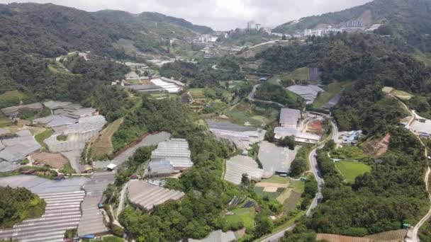 Cameron Highlands Pahang Malásia Maio 2022 Vista Geral Paisagem Distrito — Vídeo de Stock