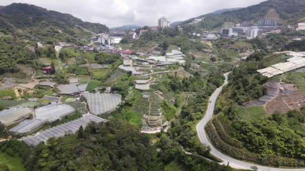 Cameron Highlands Pahang Malásia Maio 2022 Vista Geral Paisagem Distrito — Vídeo de Stock