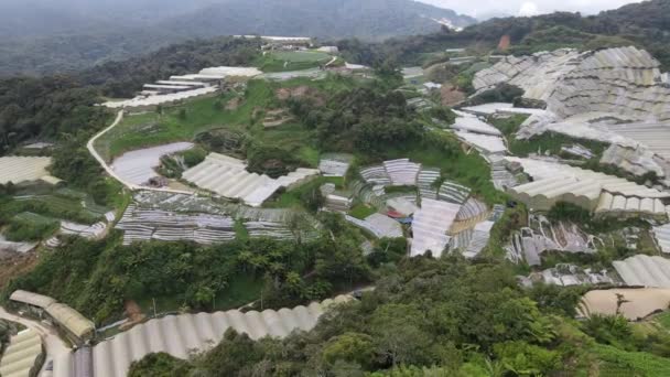 Cameron Highlands Pahang Malásia Maio 2022 Vista Geral Paisagem Distrito — Vídeo de Stock