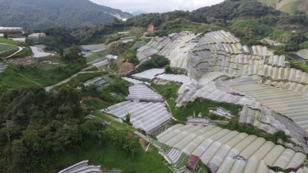 Cameron Highlands Pahang Malásia Maio 2022 Vista Geral Paisagem Distrito — Vídeo de Stock