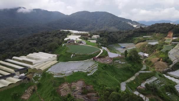 Cameron Highlands Pahang Malásia Maio 2022 Vista Geral Paisagem Distrito — Vídeo de Stock