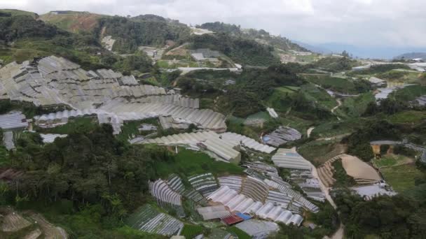 Cameron Highlands Pahang Malásia Maio 2022 Vista Geral Paisagem Distrito — Vídeo de Stock