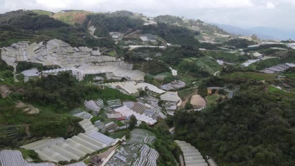 Cameron Highlands Pahang Malaysia Mai 2022 Allgemeiner Landschaftsblick Auf Den — Stockvideo