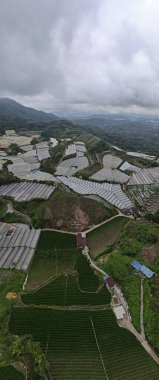 Cameron Highlands, Pahang Malezya 30 Mayıs 2022: Malezya 'nın Cameron Highlands Alanı içindeki Brinchang Bölgesinin Genel Manzarası