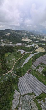 Cameron Highlands, Pahang Malezya 30 Mayıs 2022: Malezya 'nın Cameron Highlands Alanı içindeki Brinchang Bölgesinin Genel Manzarası