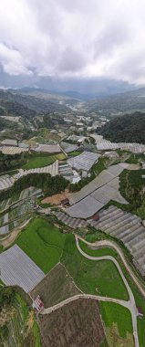 Cameron Highlands, Pahang Malezya 30 Mayıs 2022: Malezya 'nın Cameron Highlands Alanı içindeki Brinchang Bölgesinin Genel Manzarası