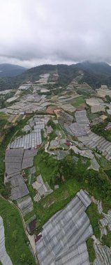 Cameron Highlands, Pahang Malezya 30 Mayıs 2022: Malezya 'nın Cameron Highlands Alanı içindeki Brinchang Bölgesinin Genel Manzarası