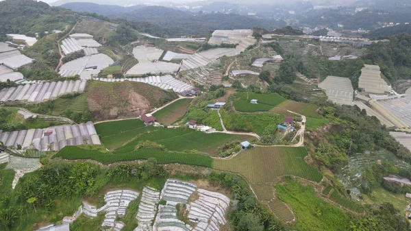 Cameron Highlands Pahang Malaysia Maggio 2022 Panorama Generale Veduta Del — Foto Stock