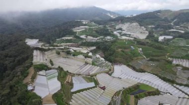 Cameron Highlands, Pahang Malezya 30 Mayıs 2022: Malezya 'nın Cameron Highlands Alanı içindeki Brinchang Bölgesinin Genel Manzarası