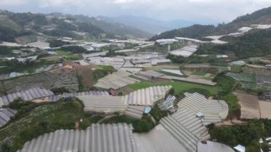 Cameron Highlands, Pahang Malezya 30 Mayıs 2022: Malezya 'nın Cameron Highlands Alanı içindeki Brinchang Bölgesinin Genel Manzarası