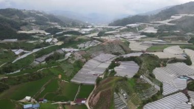 Cameron Highlands, Pahang Malezya 30 Mayıs 2022: Malezya 'nın Cameron Highlands Alanı içindeki Brinchang Bölgesinin Genel Manzarası
