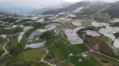 Cameron Highlands, Pahang Malezya 30 Mayıs 2022: Malezya 'nın Cameron Highlands Alanı içindeki Brinchang Bölgesinin Genel Manzarası