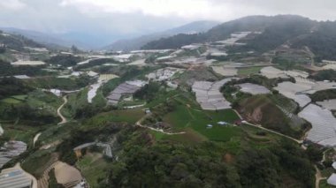 Cameron Highlands, Pahang Malezya 30 Mayıs 2022: Malezya 'nın Cameron Highlands Alanı içindeki Brinchang Bölgesinin Genel Manzarası