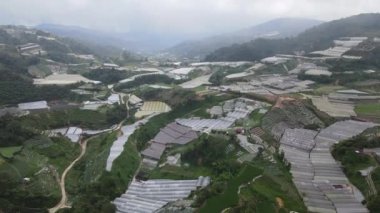 Cameron Highlands, Pahang Malezya 30 Mayıs 2022: Malezya 'nın Cameron Highlands Alanı içindeki Brinchang Bölgesinin Genel Manzarası